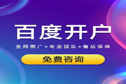 百度竞价排名服务：成功案例解析